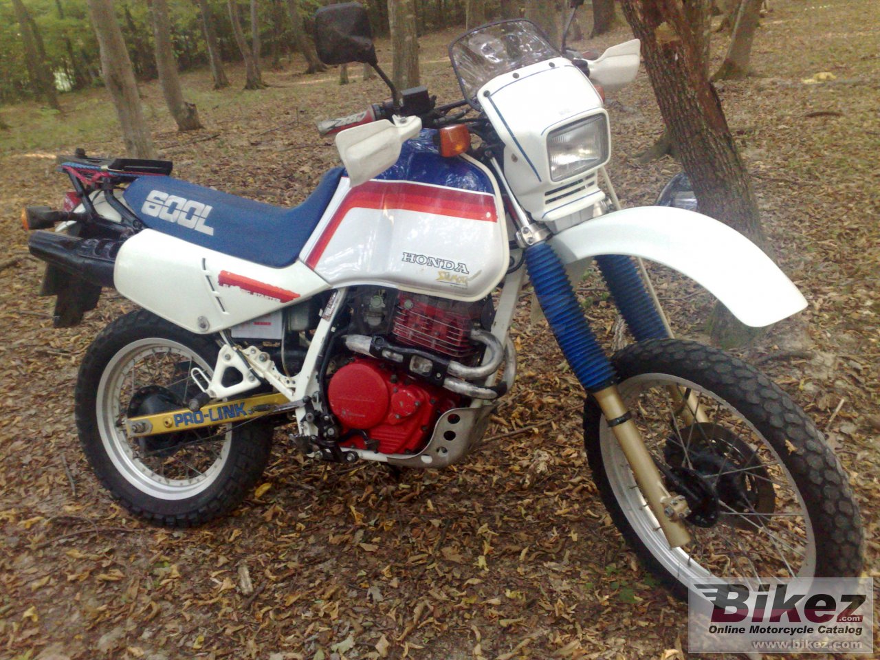 Big  xl 600 lm picture and wallpaper from Bikez.com